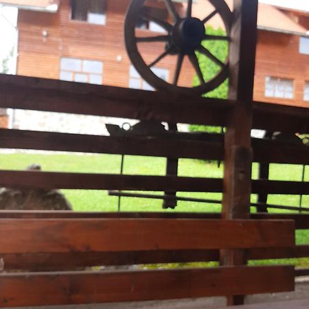 Pensiunea Codru Sălciua de Jos Dış mekan fotoğraf