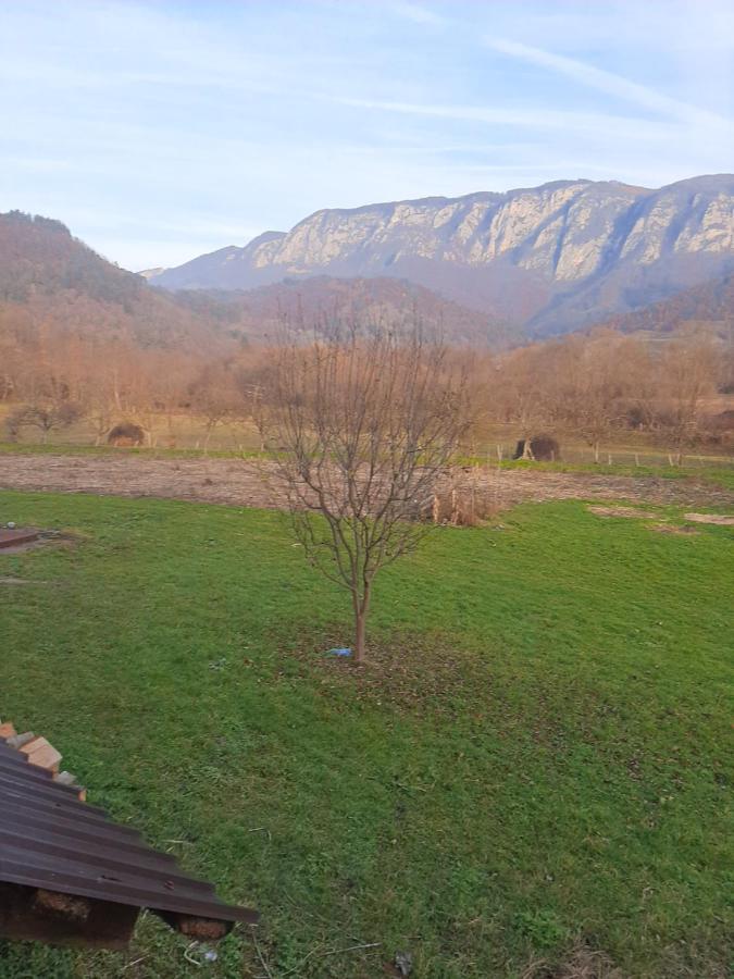 Pensiunea Codru Sălciua de Jos Dış mekan fotoğraf