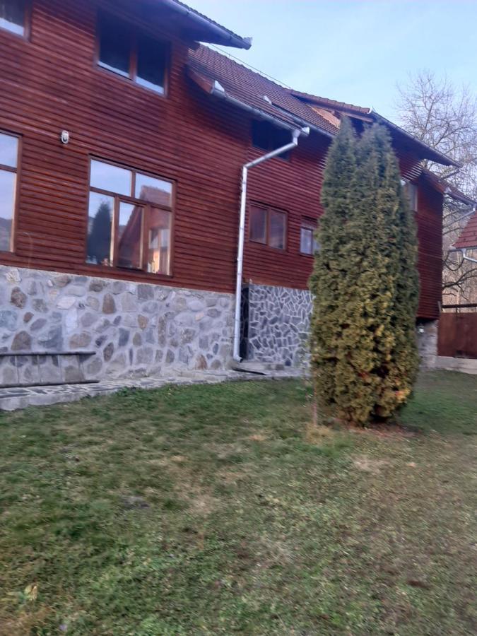 Pensiunea Codru Sălciua de Jos Dış mekan fotoğraf