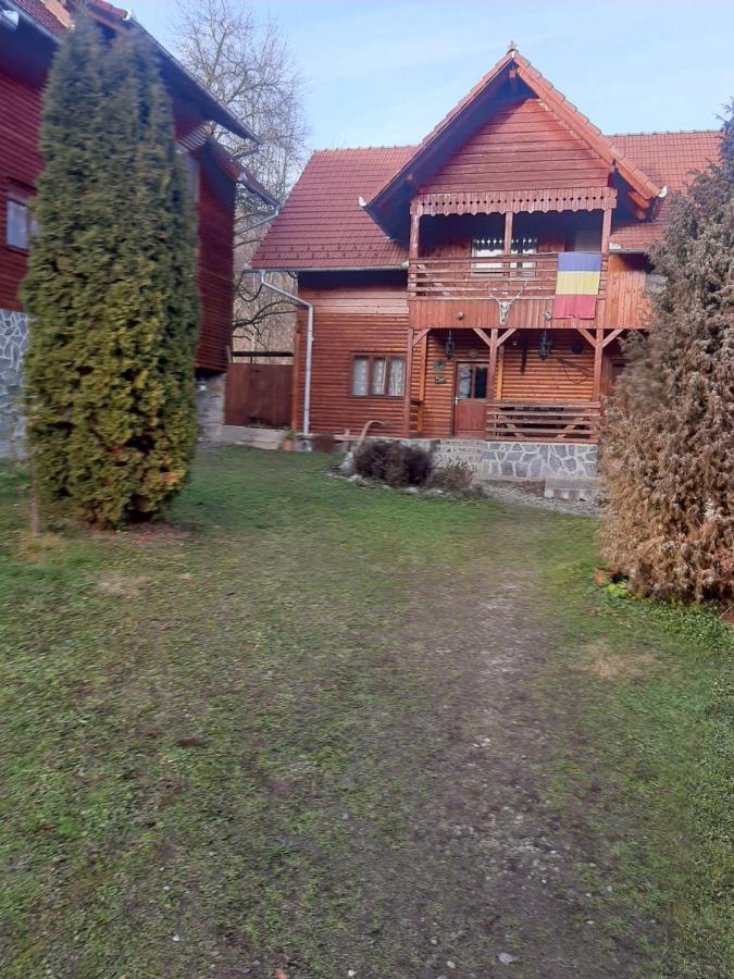 Pensiunea Codru Sălciua de Jos Dış mekan fotoğraf