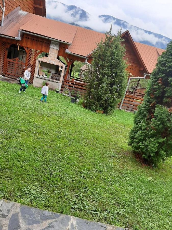 Pensiunea Codru Sălciua de Jos Dış mekan fotoğraf
