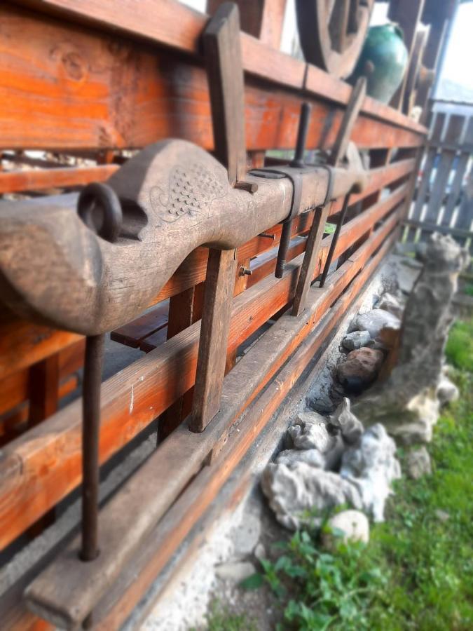 Pensiunea Codru Sălciua de Jos Dış mekan fotoğraf