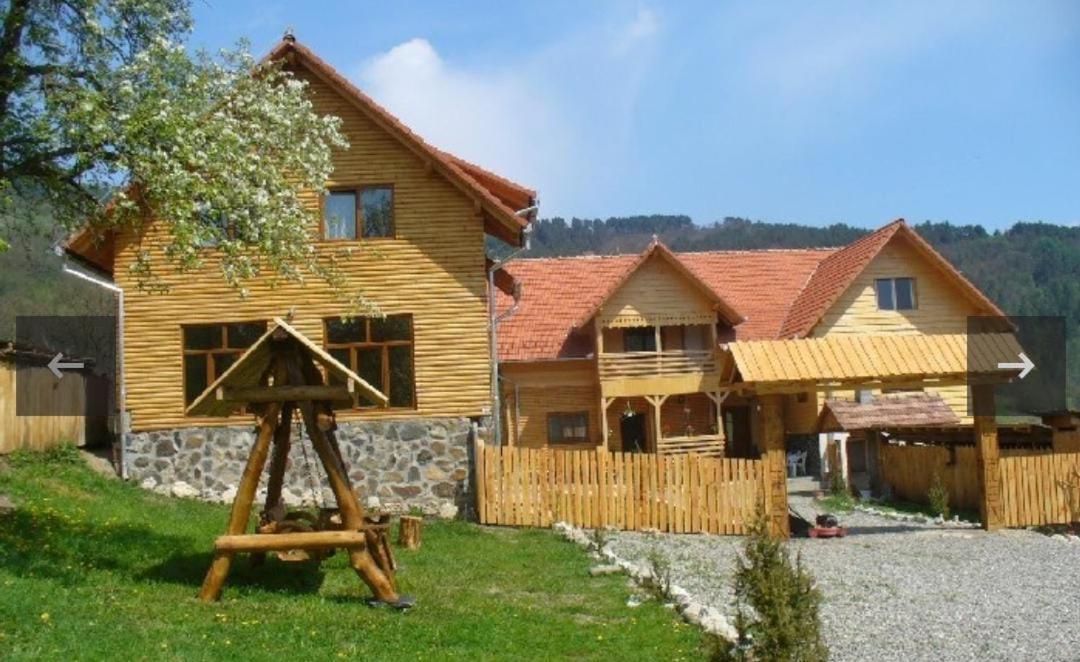 Pensiunea Codru Sălciua de Jos Dış mekan fotoğraf