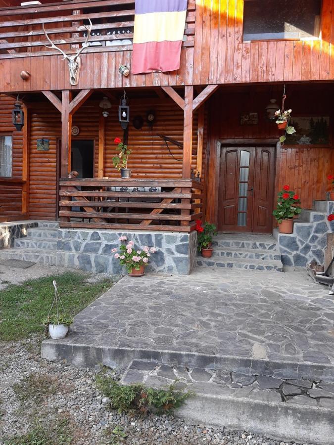 Pensiunea Codru Sălciua de Jos Dış mekan fotoğraf